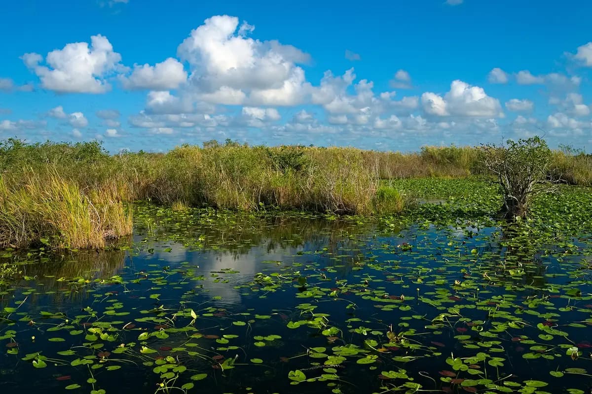Everglades National Park